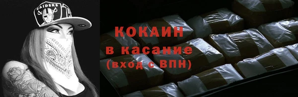 шишки Балахна