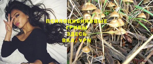 экстази Сосновый Бор