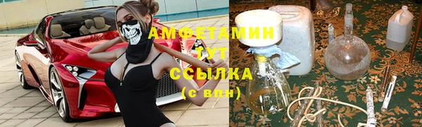шишки Балахна